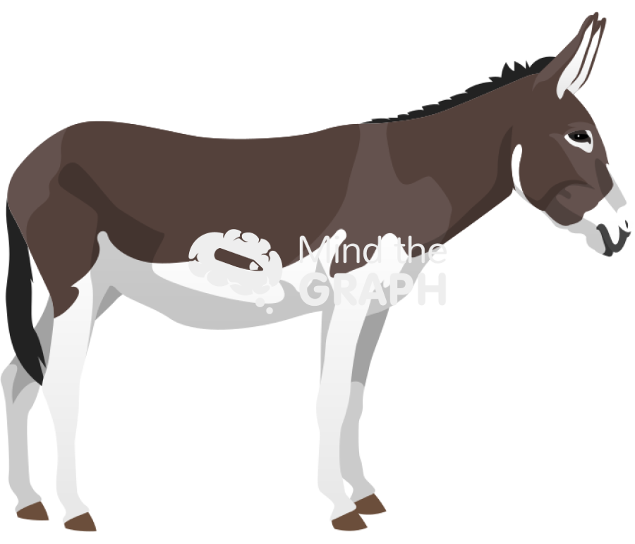 Donkey lateral Icons, Symbols, Pictures, and Images