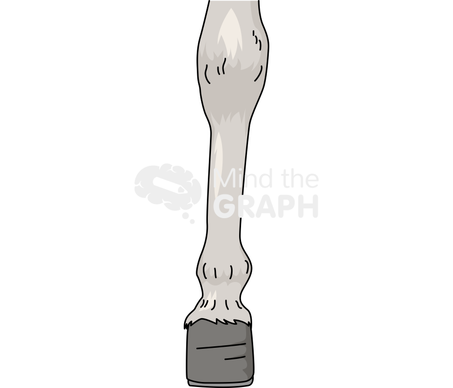 Donkey leg right Icons, Symbols, Pictures, and Images