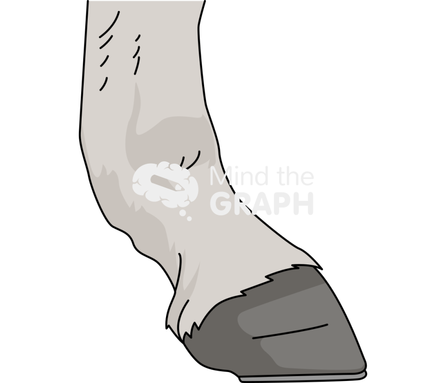 Donkey longest toe Icons, Symbols, Pictures, and Images