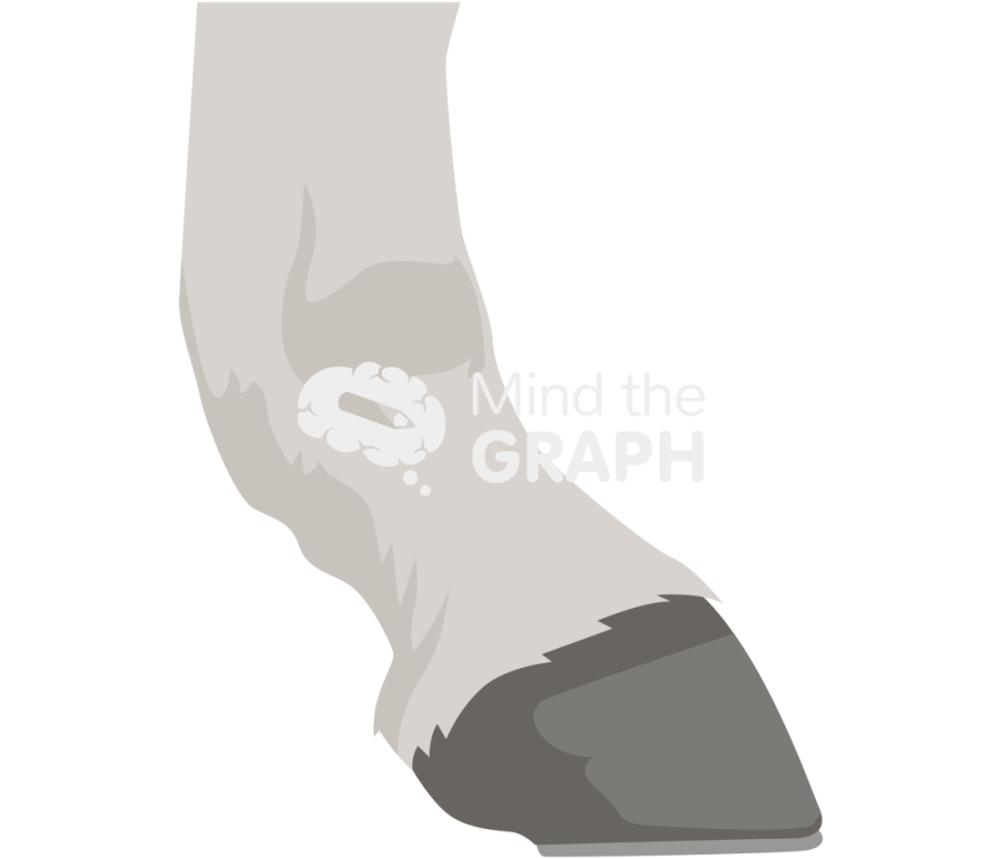 Donkey longest toe Icons, Symbols, Pictures, and Images