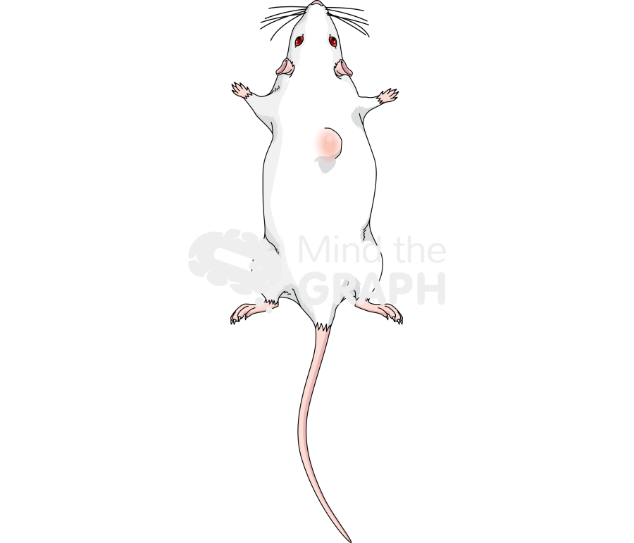 Dorsal cancer mouse posterior Icons, Symbols, Pictures, and Images