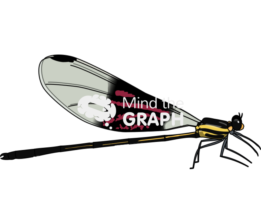 Dragon fly red brown ring lateral Icons, Symbols, Pictures, and Images