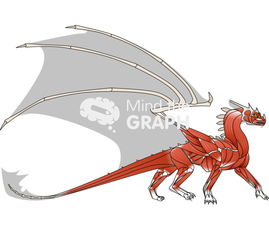 Dragon muscular system lateral Icons, Symbols, Pictures, and Images