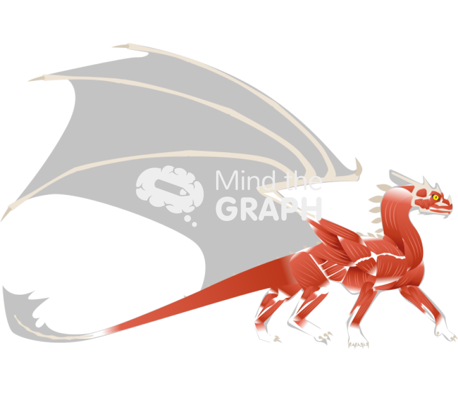 Dragon muscular system lateral Icons, Symbols, Pictures, and Images