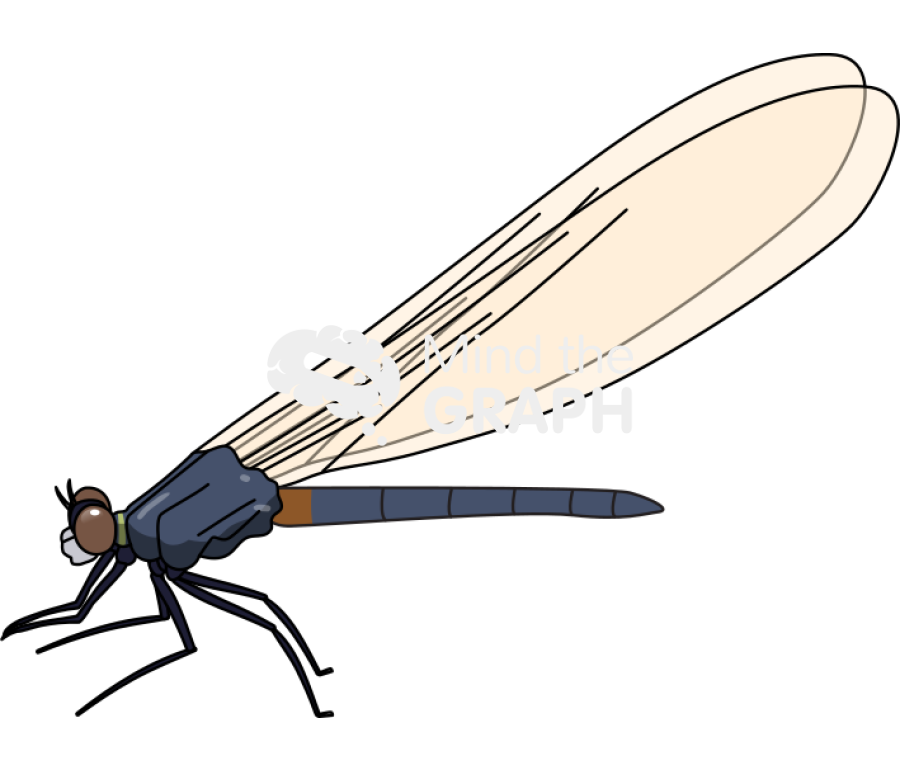 Dragonfly anisoptera 1 Icons, Symbols, Pictures, and Images