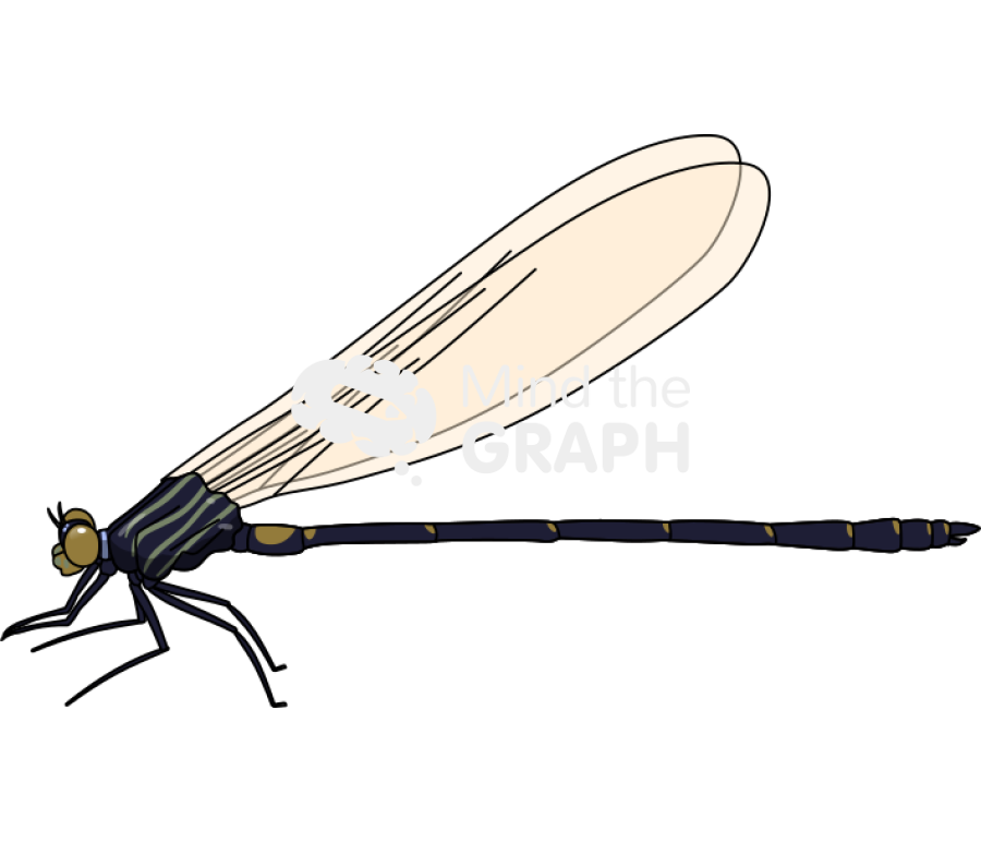 Dragonfly anisoptera 2 Icons, Symbols, Pictures, and Images