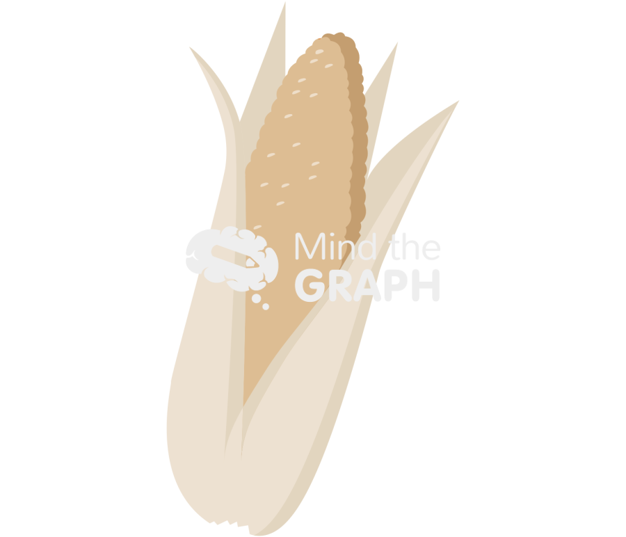 Dried corn Icons, Symbols, Pictures, and Images