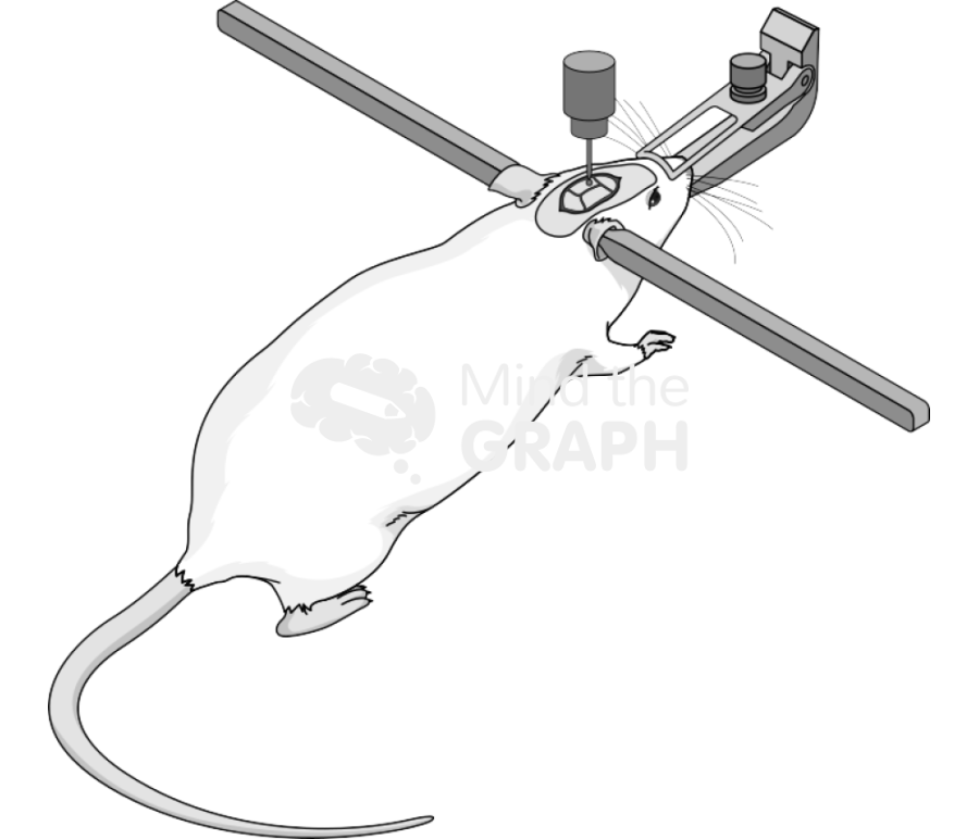 Drilling skull Icons, Symbols, Pictures, and Images