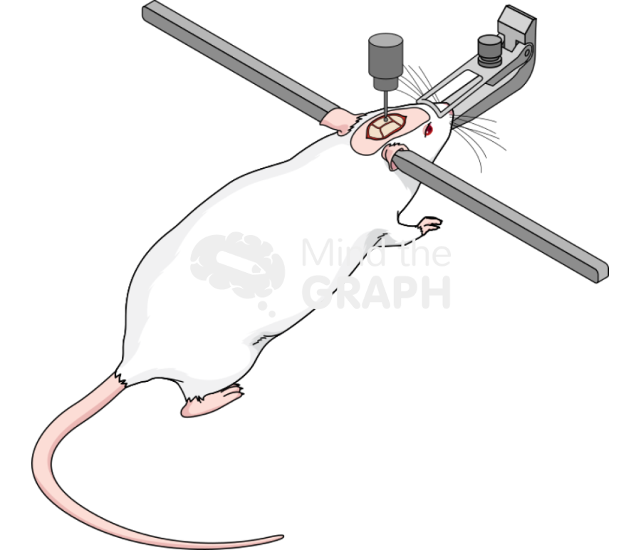 Drilling skull Icons, Symbols, Pictures, and Images