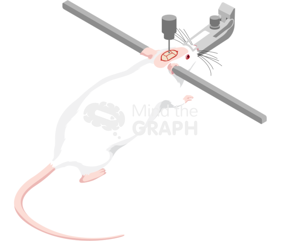 Drilling skull Icons, Symbols, Pictures, and Images