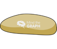 Drosophila embryo lateral 1 - Edit and Customize Icons of Drosophila embryo lateral 1 Drosophila embryo lateral 1 Icons, Symbols, Pictures, and Images