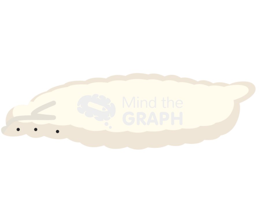 Drosophila first instar larva Icons, Symbols, Pictures, and Images