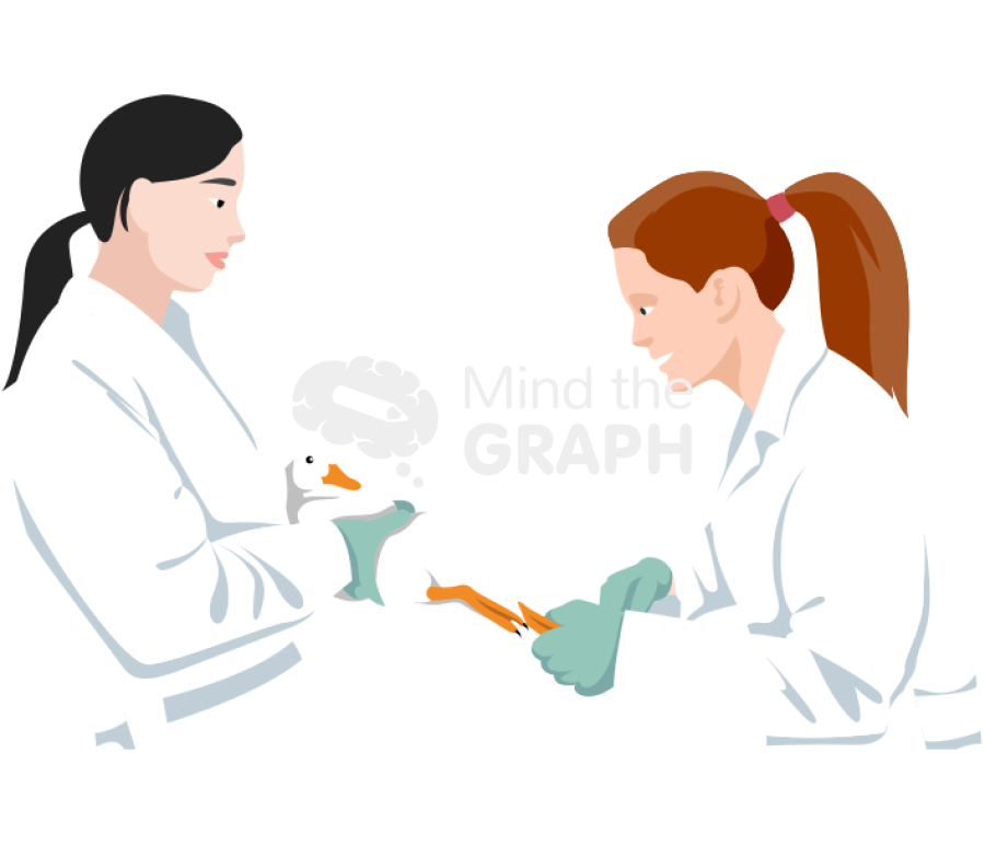 Duck sample Icons, Symbols, Pictures, and Images