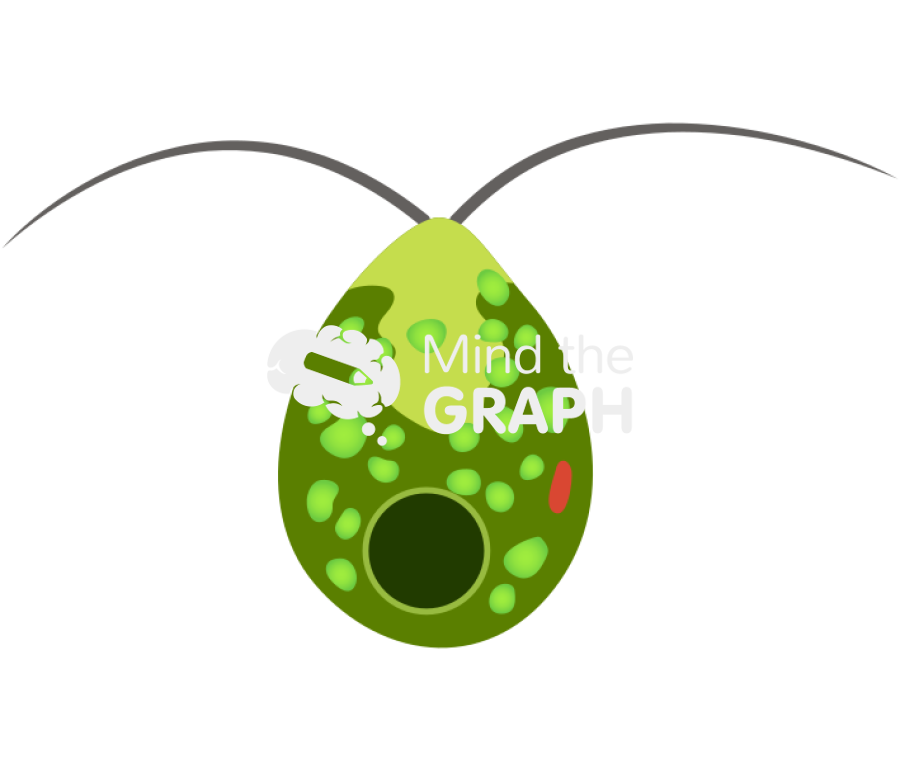 Dunaliella tertiolecta Icons, Symbols, Pictures, and Images