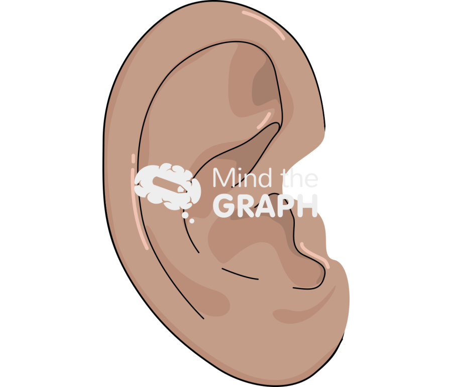 Ear tanned Icons, Symbols, Pictures, and Images