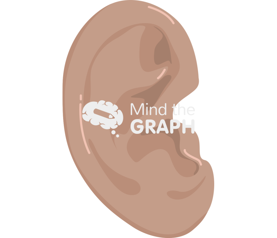 Ear tanned Icons, Symbols, Pictures, and Images