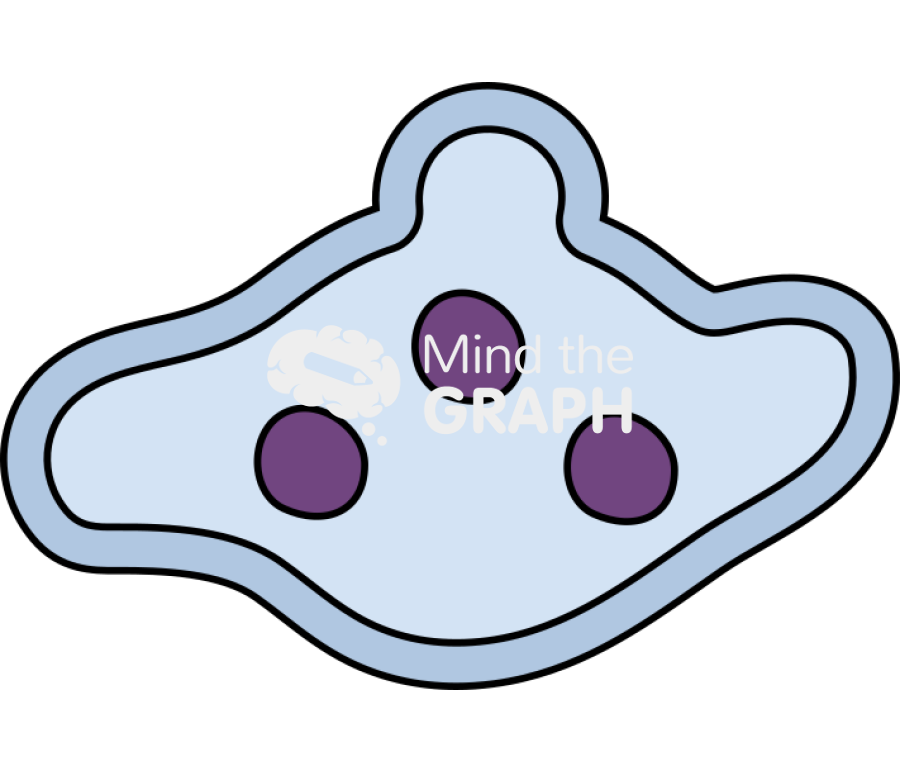 Early endosome Icons, Symbols, Pictures, and Images