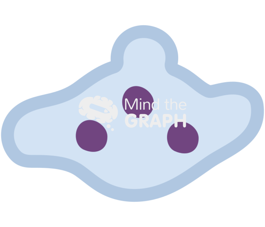 Early endosome Icons, Symbols, Pictures, and Images