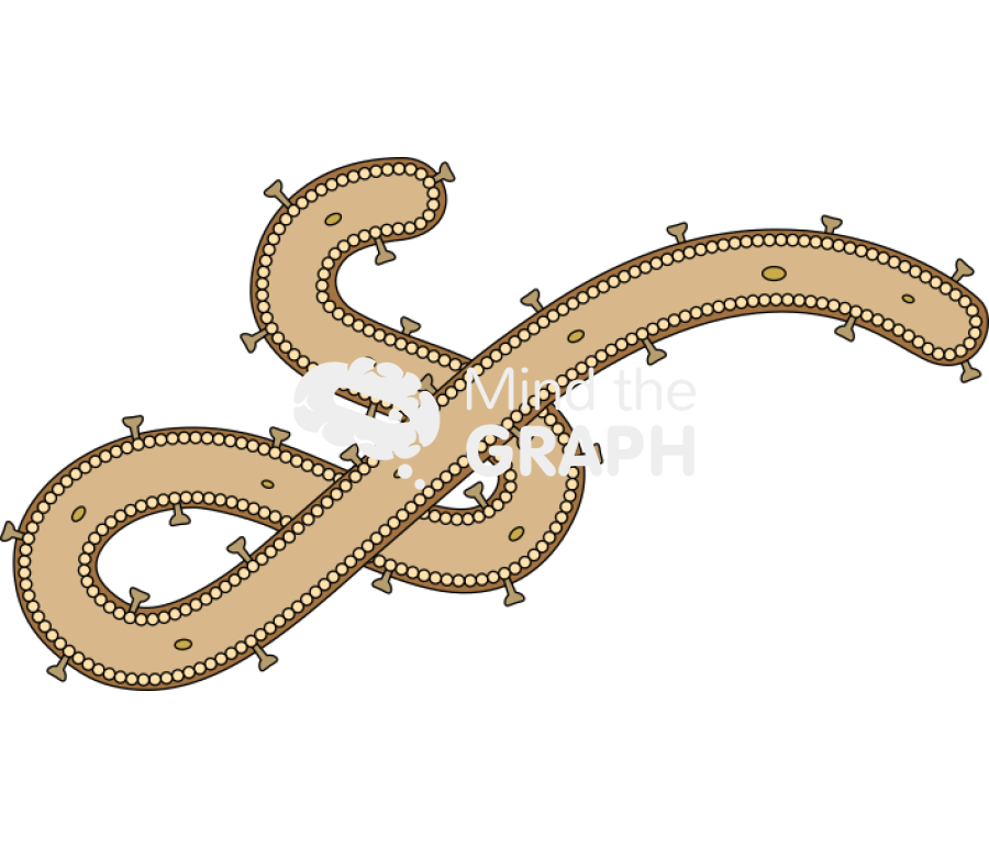 Ebola Icons, Symbols, Pictures, and Images