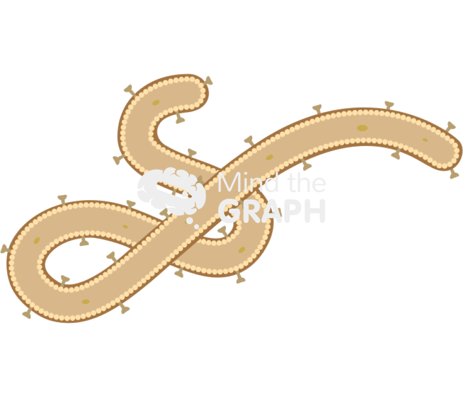 Ebola Icons, Symbols, Pictures, and Images