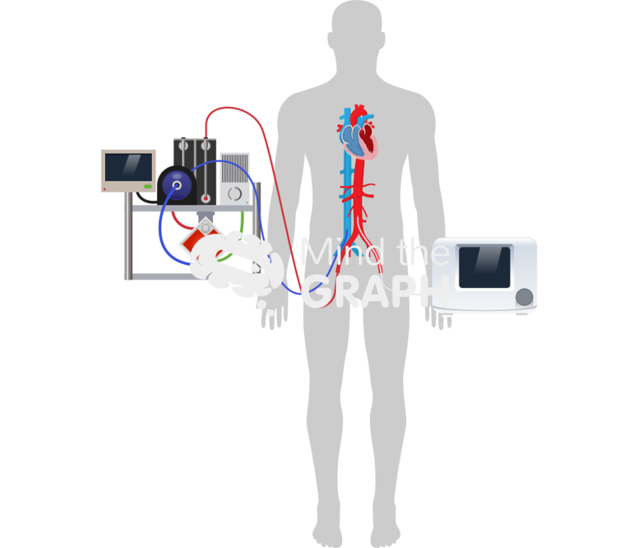 Ecmella heart body shape Icons, Symbols, Pictures, and Images