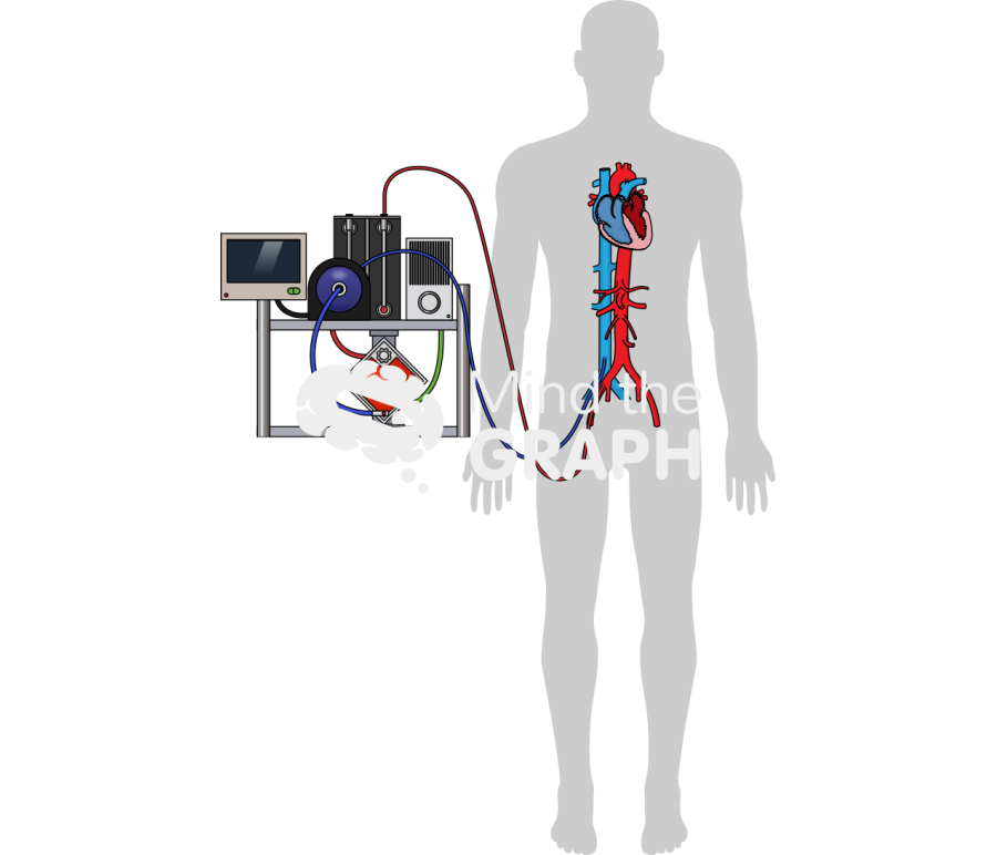 Ecmo equipments heart body shape Icons, Symbols, Pictures, and Images
