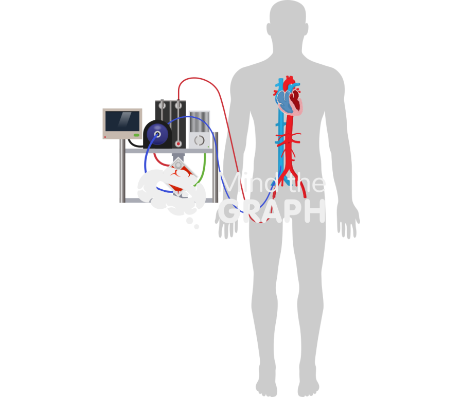 Ecmo equipments heart body shape Icons, Symbols, Pictures, and Images