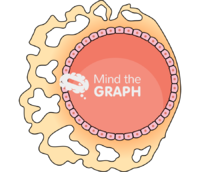 Egg cell - Edit and Customize Icons of Egg cell Egg cell Icons, Symbols, Pictures, and Images