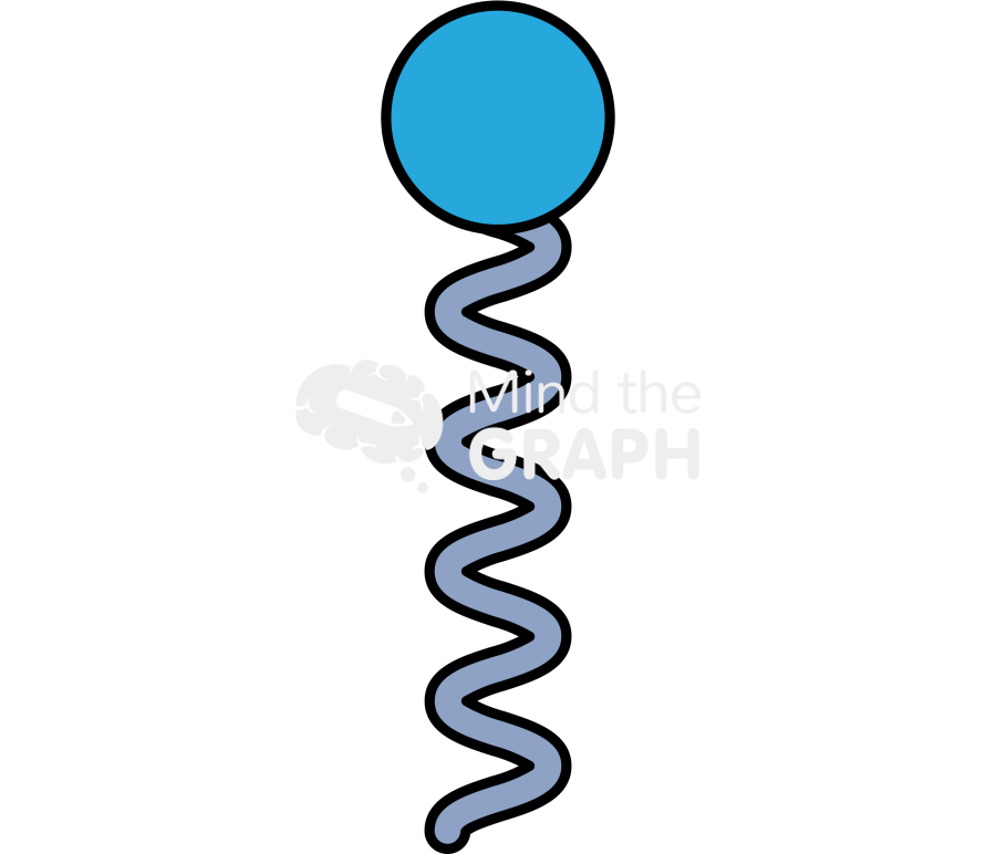 Elastin like polypeptide elp grp Icons, Symbols, Pictures, and Images