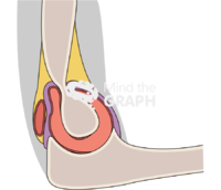 Elbow lateral view body Icons, Symbols, Pictures, and Images