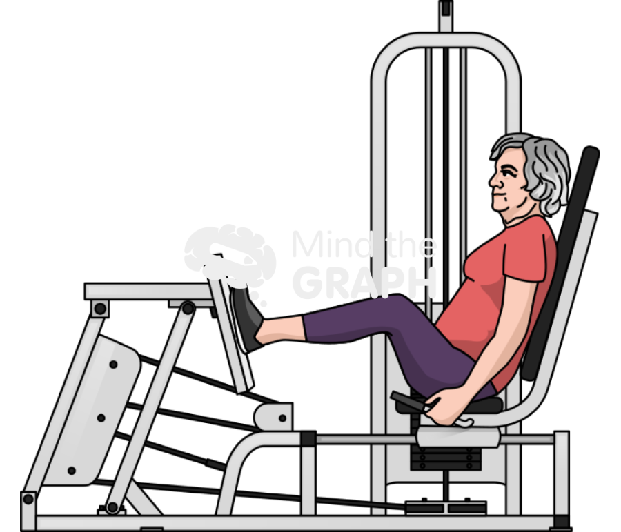 Elderly woman leg press exercise Icons, Symbols, Pictures, and Images