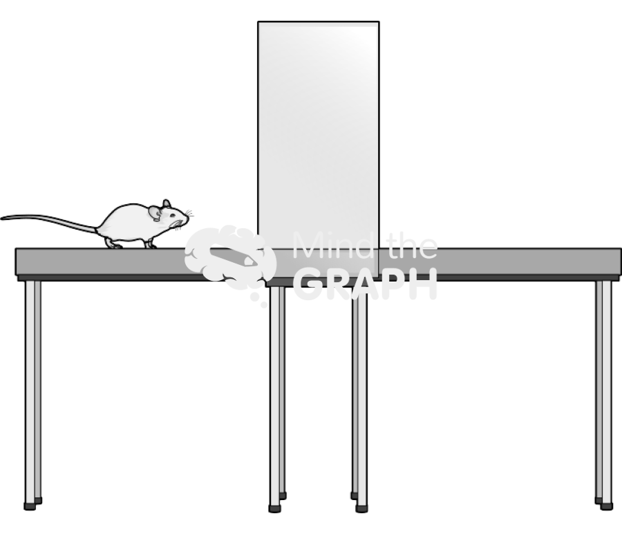 Elevated plus maze 1 Icons, Symbols, Pictures, and Images