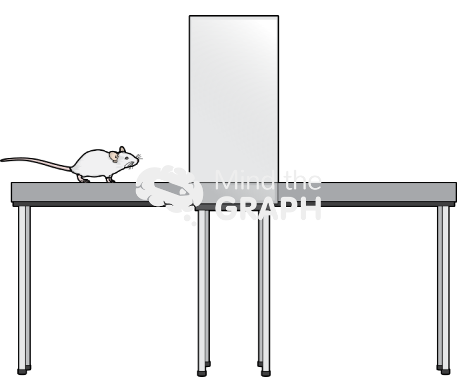 Elevated plus maze 1 Icons, Symbols, Pictures, and Images