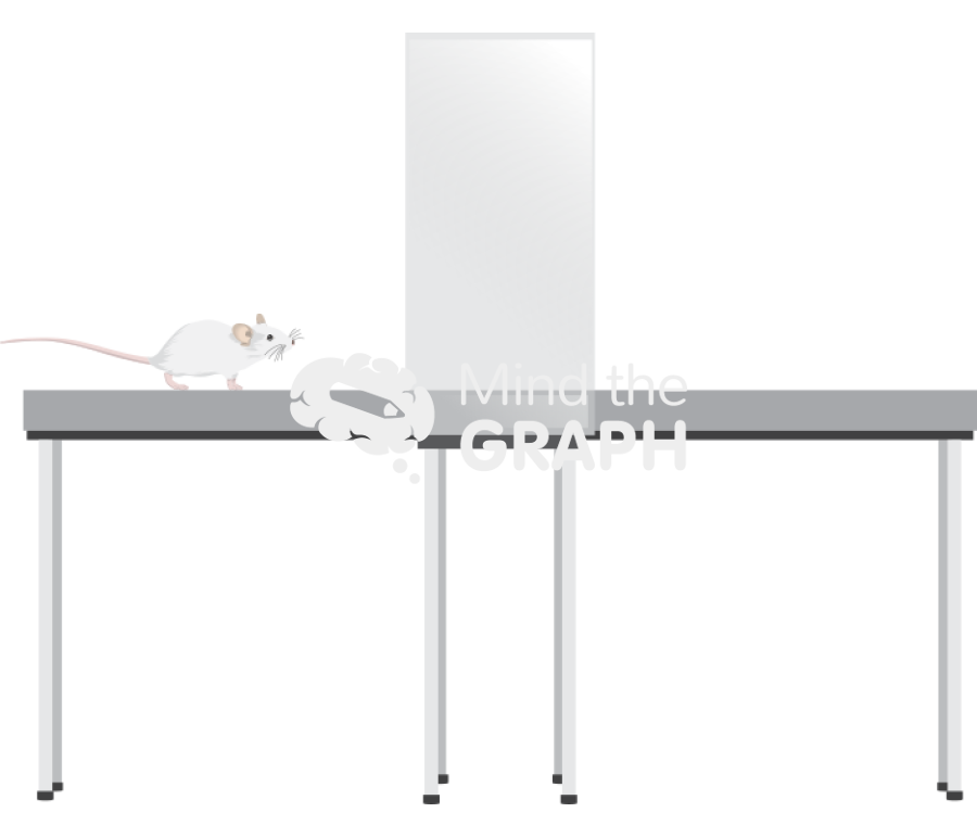 Elevated plus maze 1 Icons, Symbols, Pictures, and Images