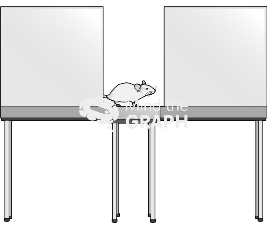 Elevated plus maze 2 Icons, Symbols, Pictures, and Images