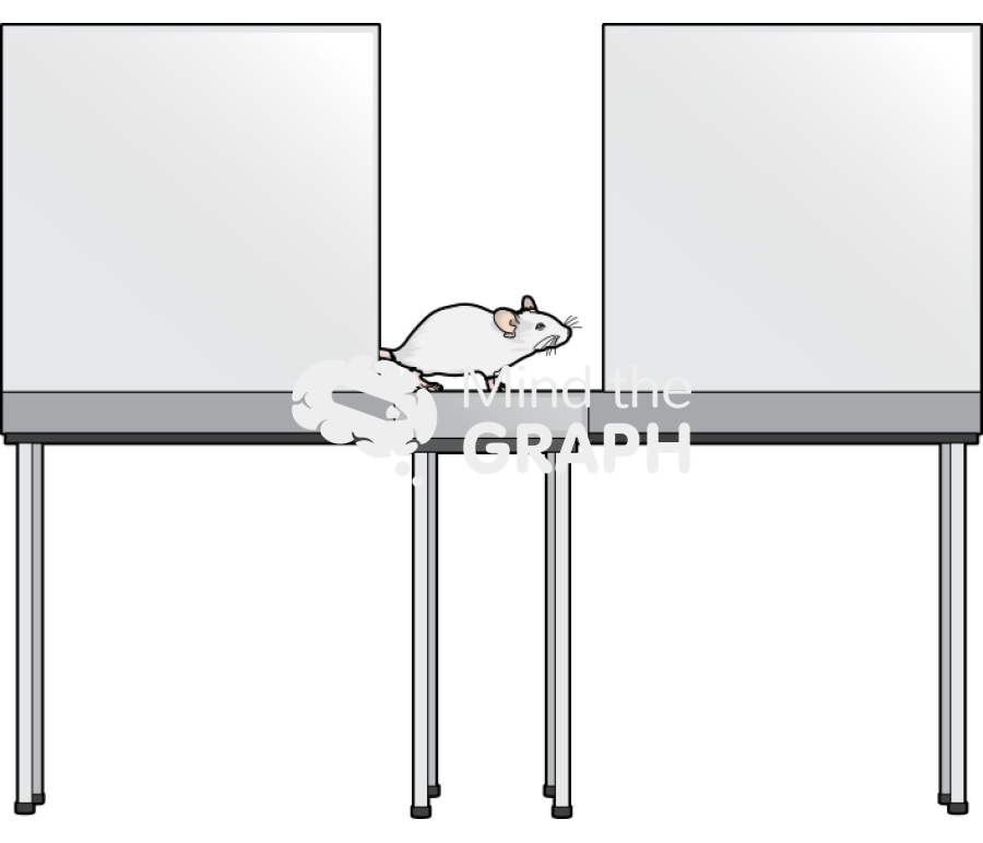 Elevated plus maze 2 Icons, Symbols, Pictures, and Images