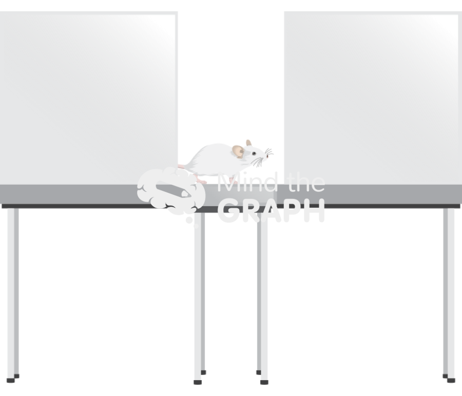 Elevated plus maze 2 Icons, Symbols, Pictures, and Images