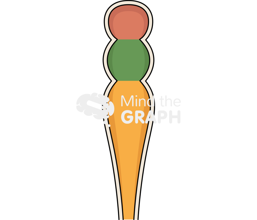 Embryonic brain 3 vesicles Icons, Symbols, Pictures, and Images