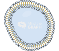 Cell empty 10 Icons, Symbols, Pictures, and Images