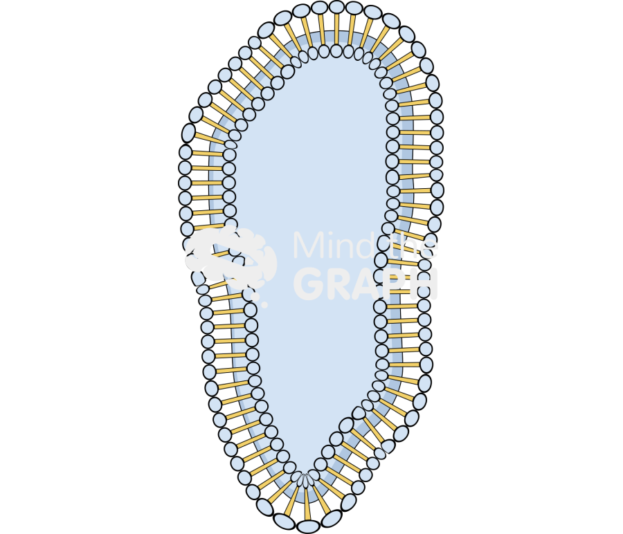 Membrane cell Icons, Symbols, Pictures, and Images