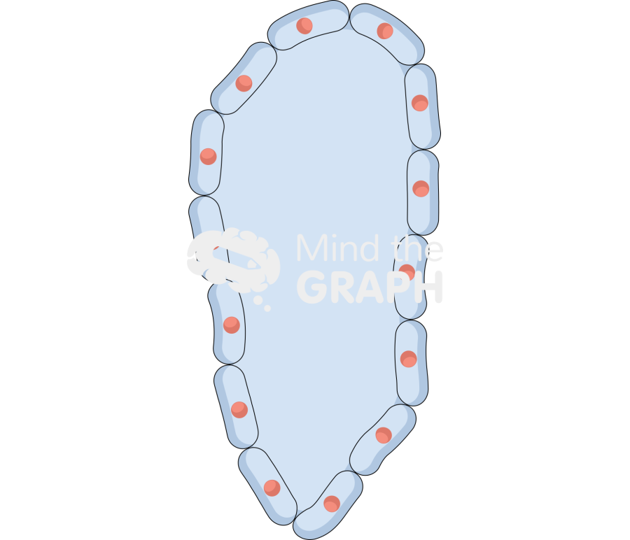 Cell empty 5 Icons, Symbols, Pictures, and Images