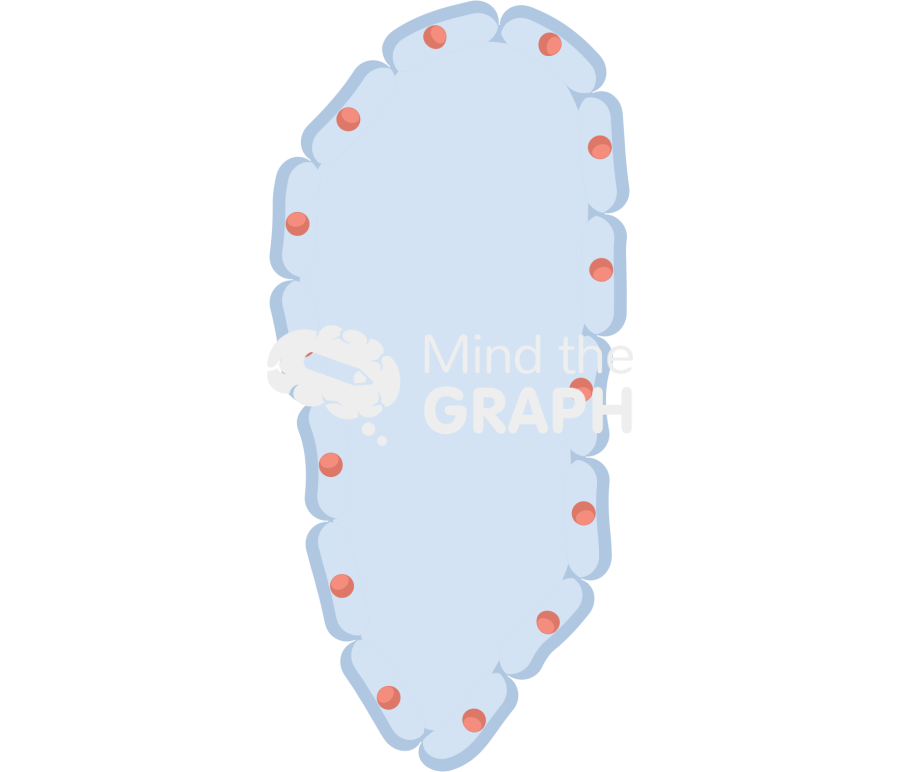 Cell empty 5 Icons, Symbols, Pictures, and Images