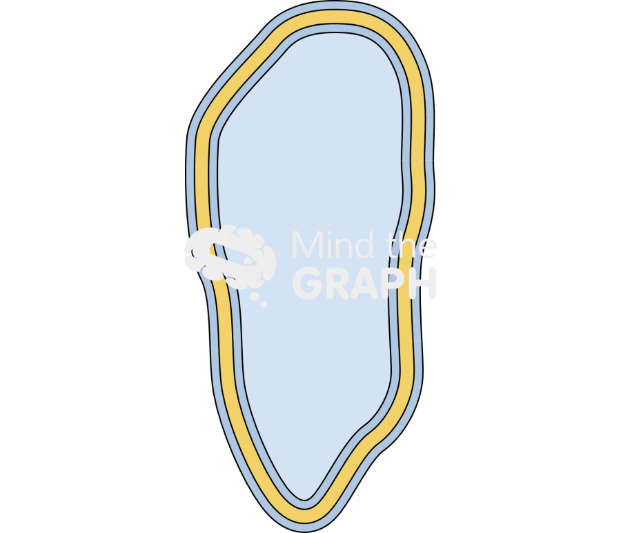 Cell empty 8 Icons, Symbols, Pictures, and Images