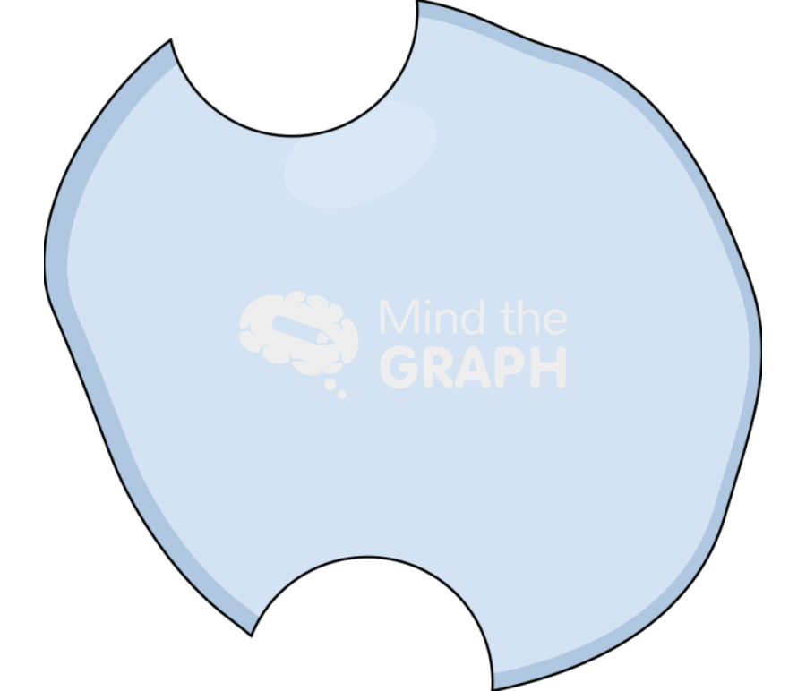 Empty cell vacuole 3 Icons, Symbols, Pictures, and Images