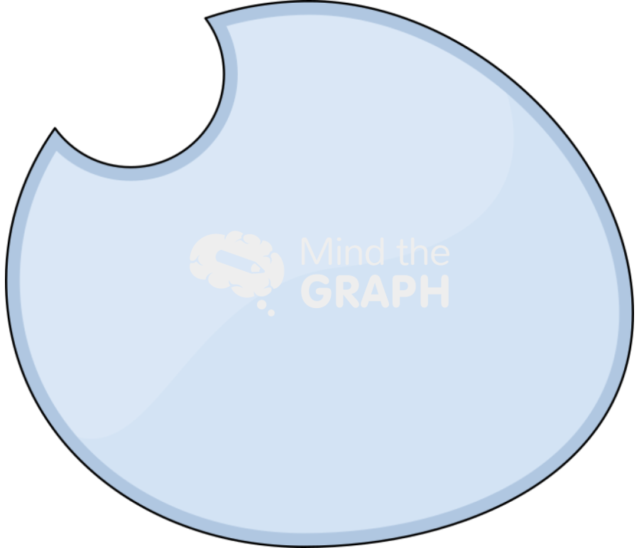 Empty cell vacuole 4 Icons, Symbols, Pictures, and Images