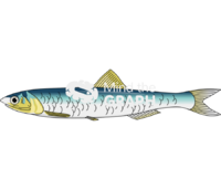 Engraulis encrasicolus lateral Icons, Symbols, Pictures, and Images