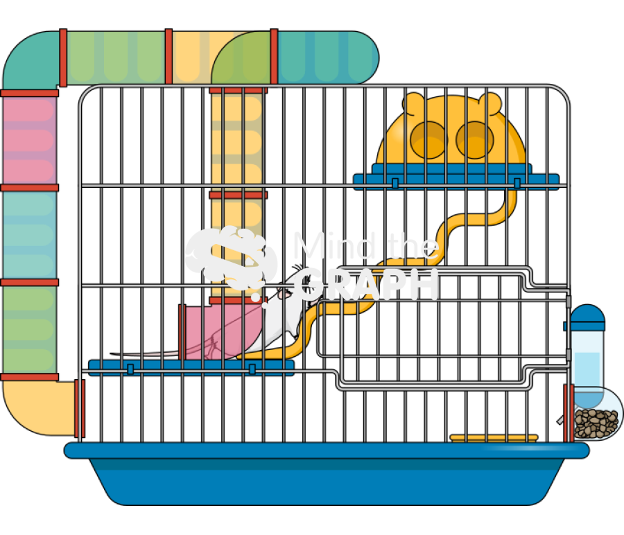 Enriched environment cage front mouse Icons, Symbols, Pictures, and Images