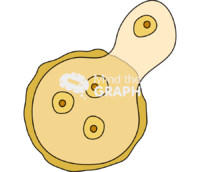 Entamoeba histolytica excystation - Edit and Customize Icons of Entamoeba histolytica excystation Entamoeba histolytica excystation Icons, Symbols, Pictures, and Images