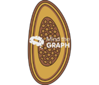 Enterobius vermicularis egg - Edit and Customize Icons of Enterobius vermicularis egg Enterobius vermicularis egg Icons, Symbols, Pictures, and Images