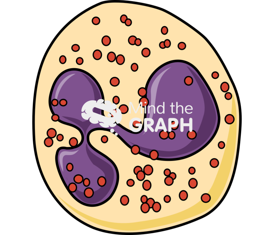 Eosinophil granulocyte Icons, Symbols, Pictures, and Images